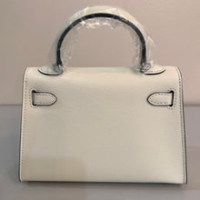 Load image into Gallery viewer, Non Branded-No Logo (Epsom Leather) mini bag (silver)
