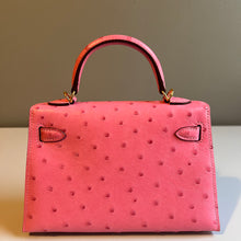 Load image into Gallery viewer, Genuine Ostrich Skin 19cm Mini Bag

